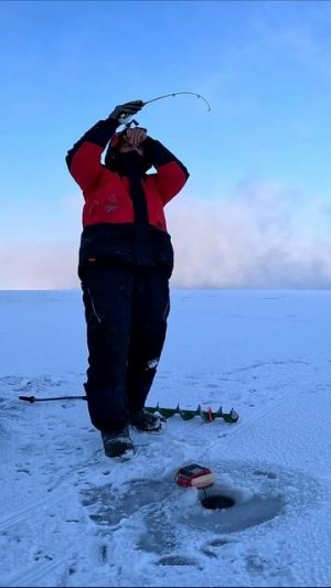 ВОТ ЭТО ЖОР ОКУНЯ НА ВИБ!!!/ТРОФЕЙНЫЙ ОКУНЬ НА ВОЛГЕ/ЗИМНЯЯ РЫБАЛКА У ЖИГУЛЁВСКОЙ ГЭС/ТОЛЬЯТТИ