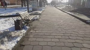 На прогулке рассказываю как пишутся работы: статьи,рефераты,очерки. Из личного опыта.