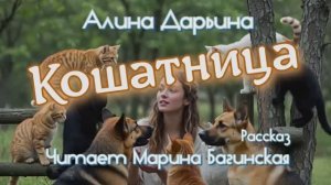 Алина Дарьина _Кошатница_ рассказ Читает Марина Багинская
