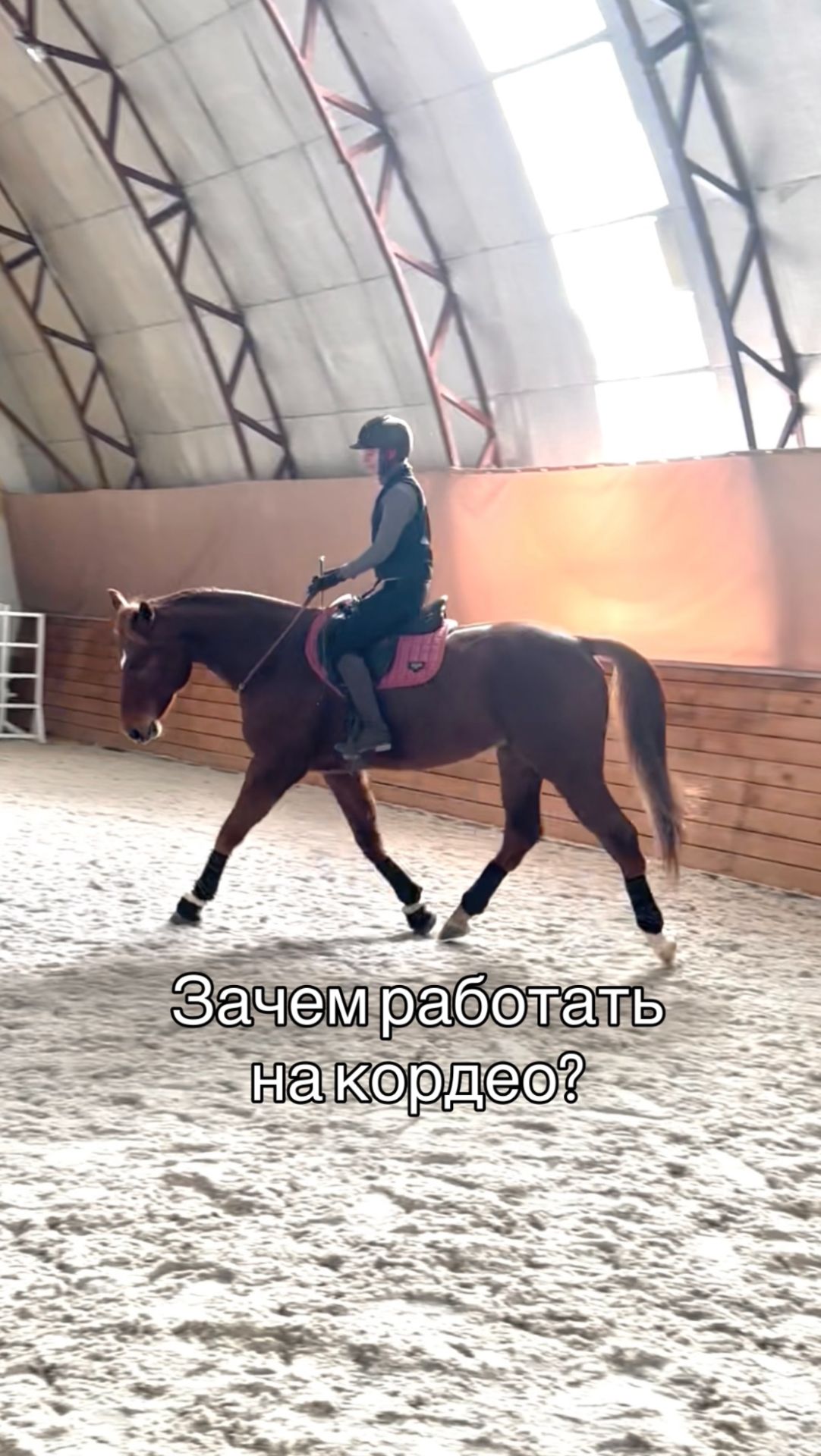 Зачем работать с лошадью на кордео?