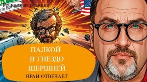 ШАРИ. - Палкой в гнездо шершней. Иран отвечает - (Реакция на реакции)