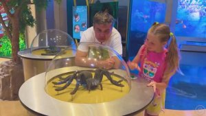 Розовое_против_чёрного_детский_челлендж