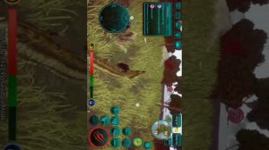 Курсед я вернулся