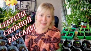 Всегда КРЕПКАЯ РАССАДА Делюсь опытом Выбор грунта Лучшие сорта перца ПЕЛАРГОНИЯ