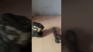 GUEST666 15(part3)