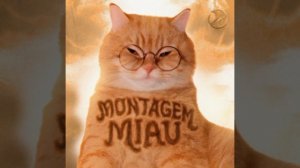 MONTAGEM MIAU (SLOWED)