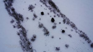 Урочище Крестовая Поляна и Жигулёвские горы / Остров "Голодный" и река Волга / Самарская обл/ Russia