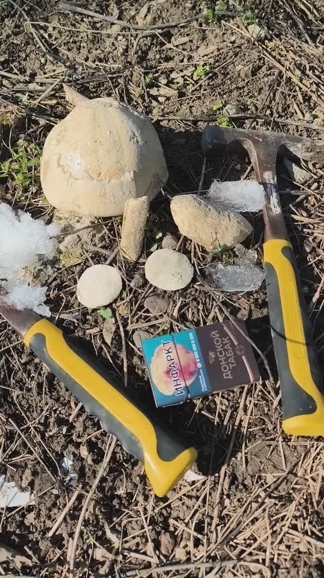 Ещё палео-натюрморт Крыма