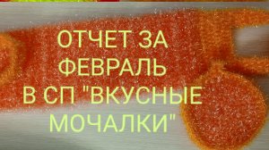 Отчёт за февраль в СП "ВКУСНЫЕ МОЧАЛКИ".