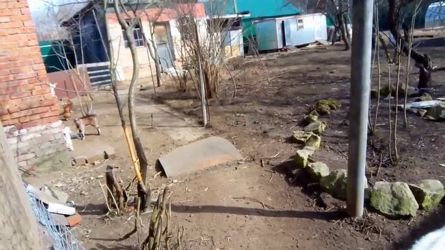 Дети есть дети!