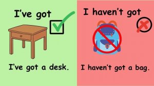 I have got/I haven't got