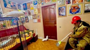 Я ВЫГУЛИВАЛА ПОПУГАЕВ и тут пришел Влад, он так вооружился, что его даже Кира не узнала )))