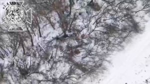 В приграничье уничтожено имущество вражеских операторов БпЛА.