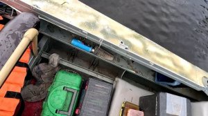 бросаются на падении блесны