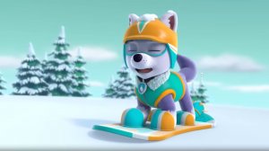 Щенячий патруль. Маршалл. Мэр Гудвэй. Щенки выезжают. Трек джунглевый спасатель. Скай Ч26