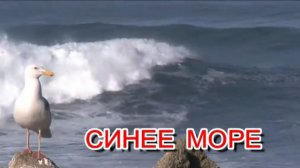 СИНЕЕ  МОРЕ