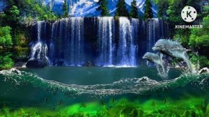 КРАСОТА ПРИРОДЫ и НЕЖНАЯ МУЗЫКА для ДУШИ, а ПЕНИЕ ПТИЦ СНИМАЕТ СТРЕСС