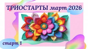 СП Триостарты марта. Старт 1. Носки крючком для мужчин из тонкой пряжи