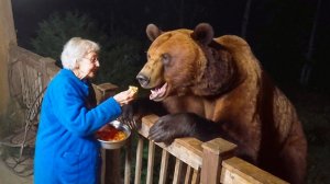 КОГДА ЖИВОТНЫЕ САМИ ВЫБИРАЮТ СЕБЕ ХОЗЯЕВ