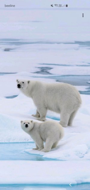 отв на ваши вопросы