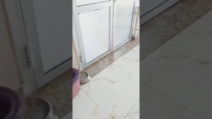 Отвезла колбаску для нашей безлапой собачки