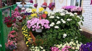 Сатсанг √121, Роберт Адамс. Духовность практикуют !!!