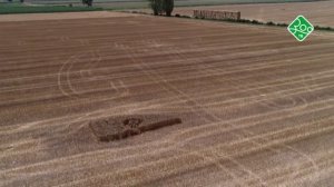 Куда улетели ласточки? Анонс. Канал ЗОО ТВ