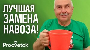 В 100 РАЗ ЛУЧШЕ НАВОЗА И БЕСПЛАТНО! Вот что внести в почву с осени для улучшения плодородия почвы