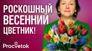 САЖАЕМ ТЮЛЬПАНЫ КАК В ГОЛЛАНДИИ! Шикарная долгоцветущая клумба из луковичных цветов