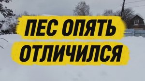 Кто проломил теплицу 🤔