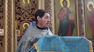 Проповедь иерея Димитрия Петрова  21.02.2026г