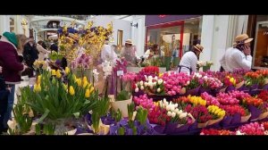 Москва  Петровский  пассаж  02.03.2026