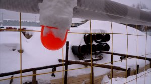 Под контролем главы