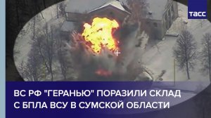 ВС РФ "Геранью" поразили склад с БПЛА ВСУ в Сумской области