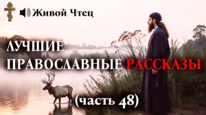 Богатые родители дали дочери всё, кроме любви... ЛУЧШИЕ ПРАВОСЛАВНЫЕ РАССКАЗЫ часть 48