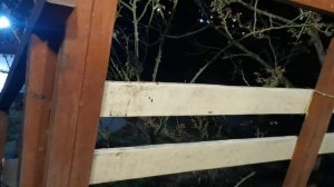 СОЧИ ГОРНОЕ ЛОО УТРО 02.03.2026