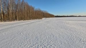 Дачные покатушки на снегоходе зима 2026 (7)
