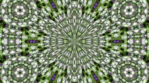 Видеофоны! Видеофон Подснежники 6! Футаж от Киностудии Мудрого Кота Тимофея!