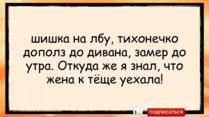 🐸_Девочка_и_лётчики_В_авиации_своя_математика_✅анекдоты_✅юмор_✅смех