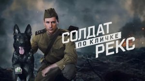 Солдат по кличке Рекс: герой, которого мы заслужили