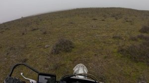 можжевеловая роща лучшее