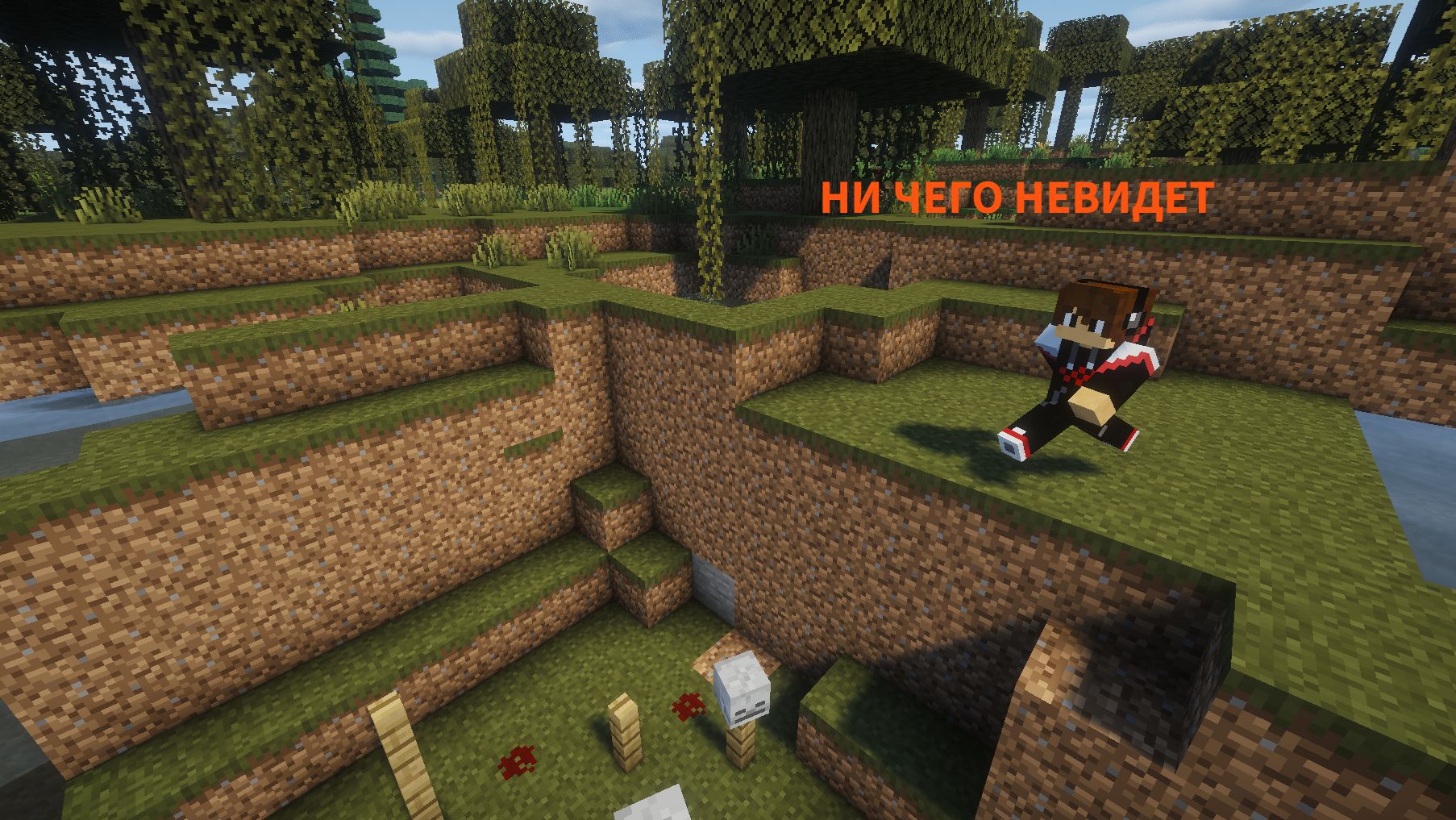 Я впервые ослеп в майкрафт