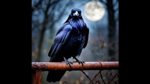 Возвращение