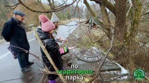 Измайлово 21.11.25 г.