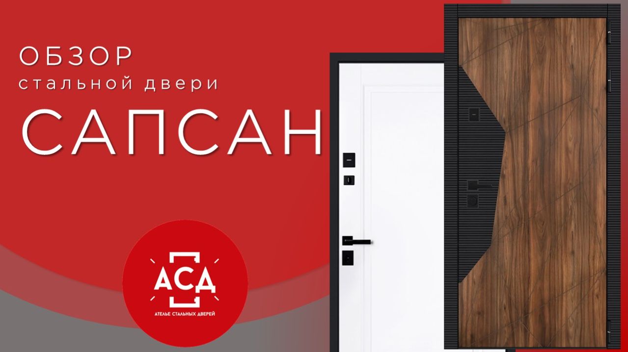 Стальная дверь Сапсан (адаптивная замковая часть)