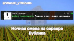 Остался следить за сервером Бублика (сервер, который лучше Лемаксиного)