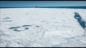 Копылова_Липецкая область