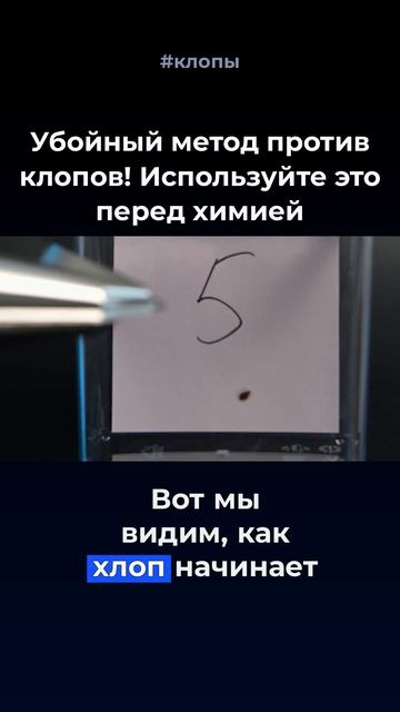 Прожарка КЛОПОВ! У вас квартира или гостиница? Выведем клопов без химии 🔥