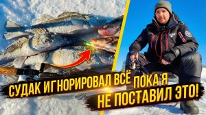 СУДАК ИГНОРИРОВАЛ ВСЁ, ПОКА Я НЕ ПОСТАВИЛ ЭТО! РЫБАЛКА НА ЖИГУЛЕВСКОМ МОРЕ