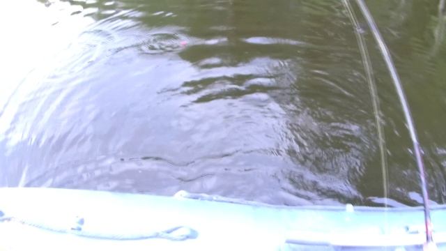 Озеро . ловим щуку .